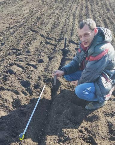 Качественные семена гороха высоких репродукций