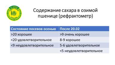 Микроэксперимент