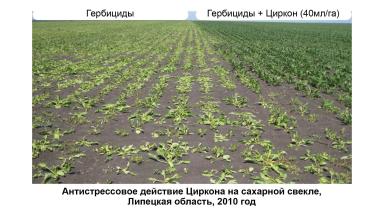 Защита растений от возвратных заморозков, засухи и других стрессов