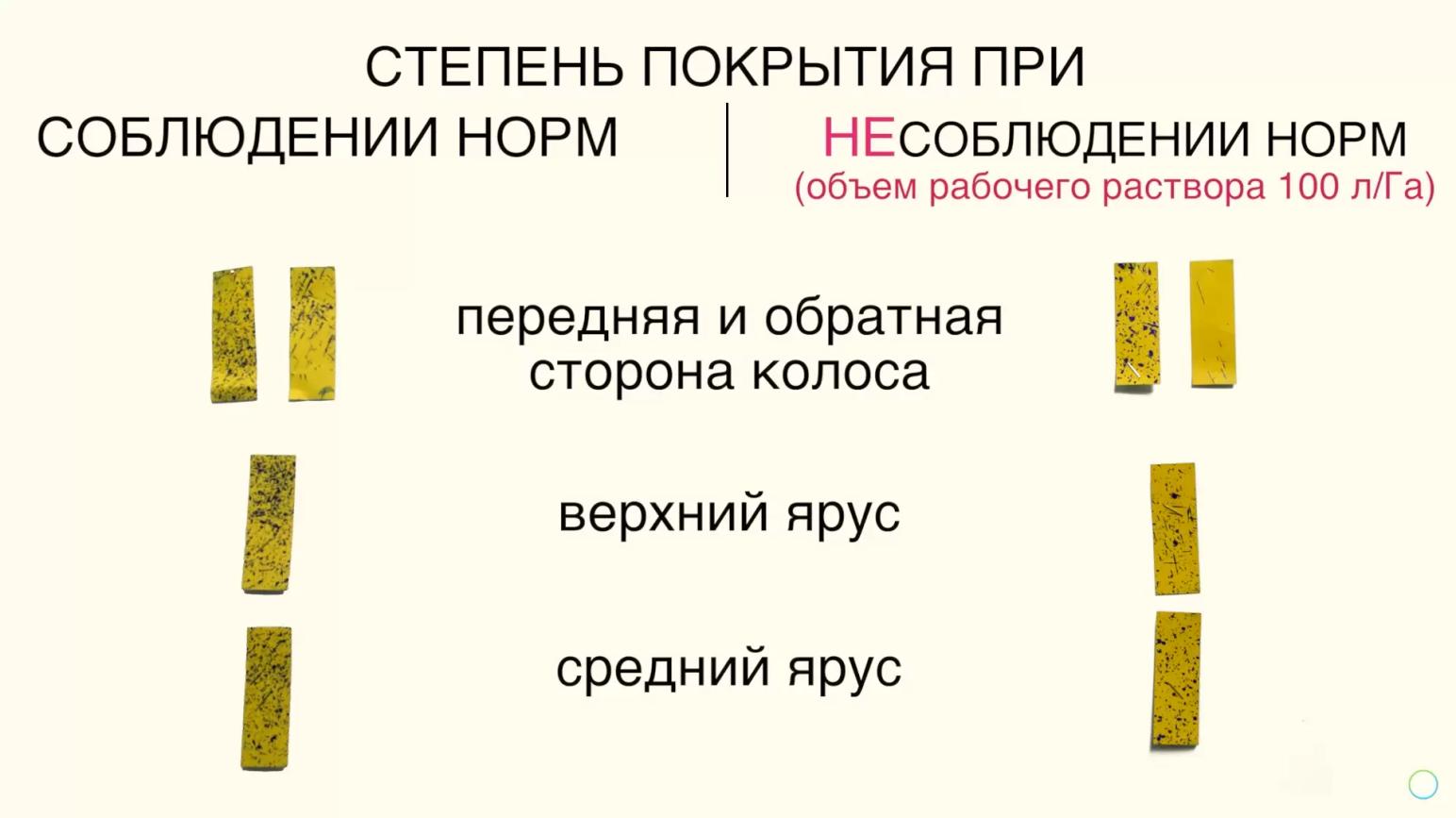 3 правила фунгицидной обработки