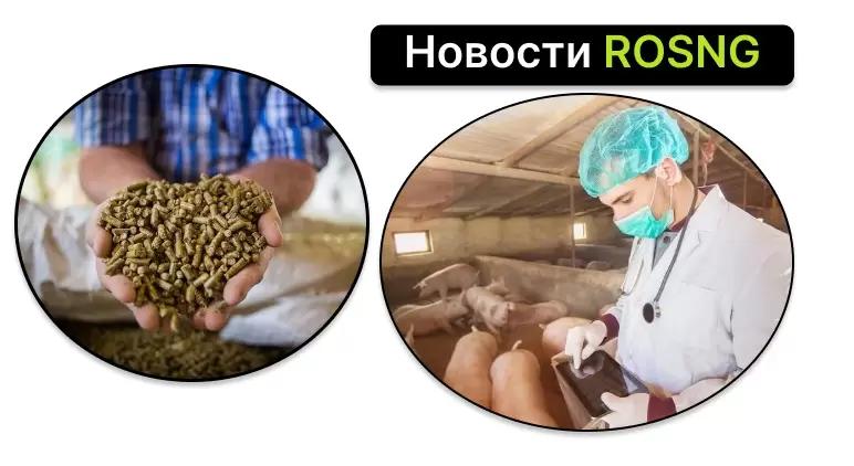 Дайджест новостей за 1 августа