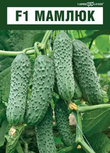 Семена Огурца Мамлюк F1