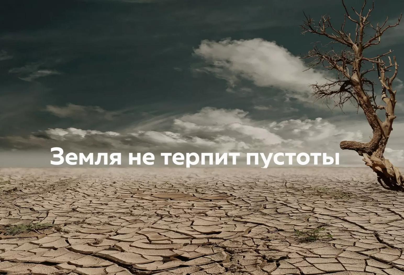 Что делать с почвенной биотой?