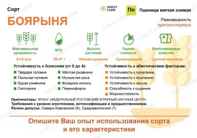 Боярыня ® сорт мягкой озимой пшеницы