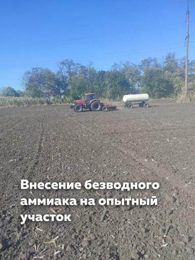 Эффективность внесения безводного аммиака. Первые результаты!