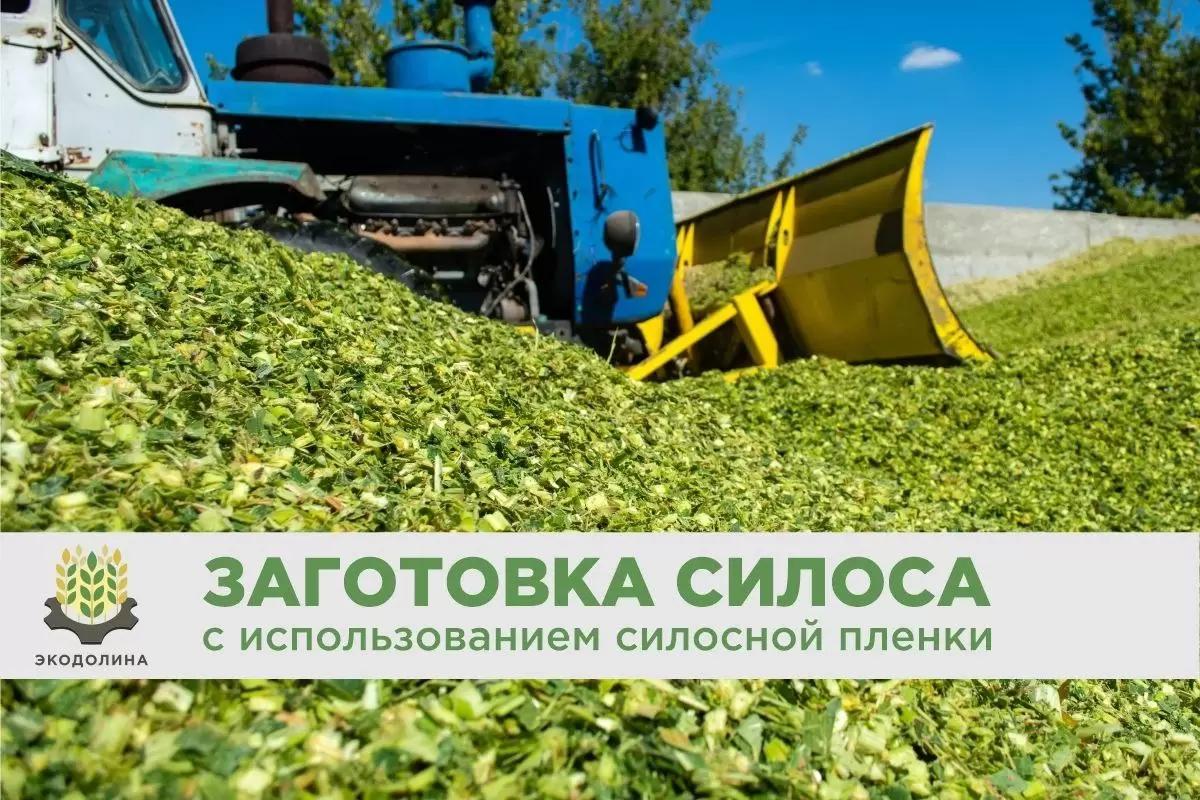 🌱ЗАГОТОВКА СИЛОСА с использованием силосной пленки