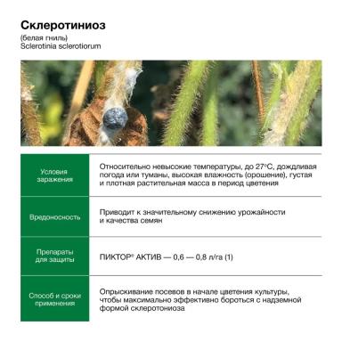 Соевый агрокалендарь Июль