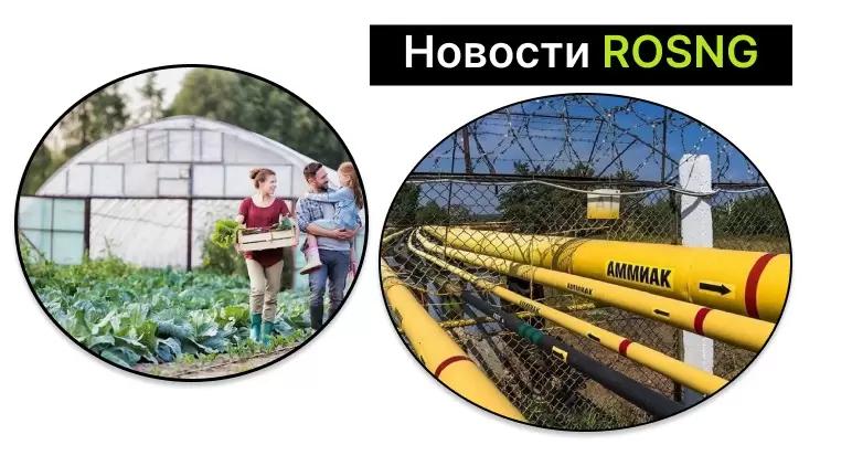 Дайджест новостей за 31 мая