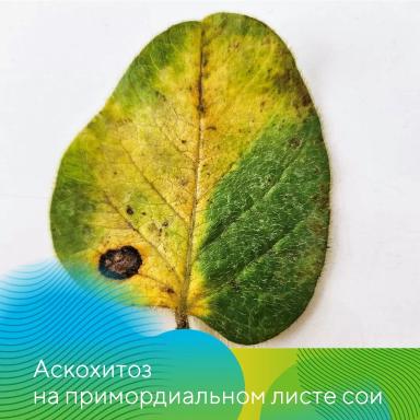 Экспедиция на Орловщину