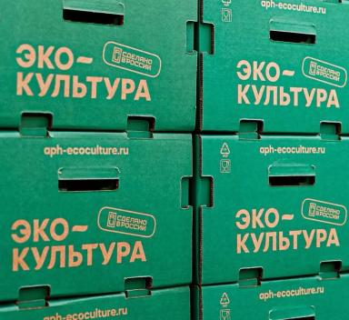 Теплицы Эко-культуры вместо завтрака в постель? Почему бы и нет? 🍅