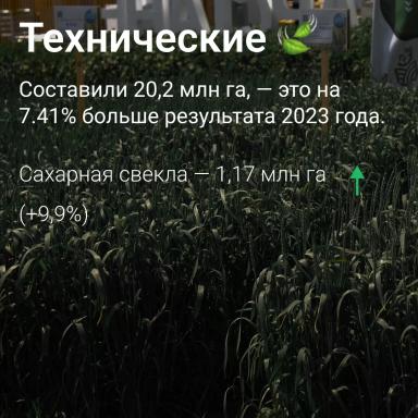 🗺️ Посевные площади в России сократились на 1,2%: данные Росстата