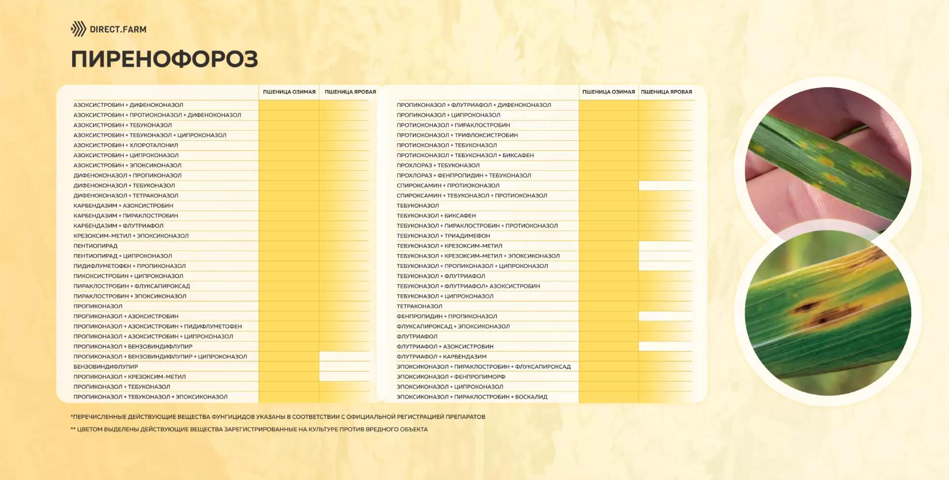 Шпаргалка д.в. против пиренофороза