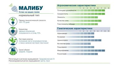 МАЛИБУ
