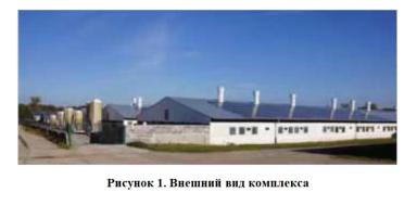 Низкие потери и высокая продуктивность в свиноводстве – сочетаемы