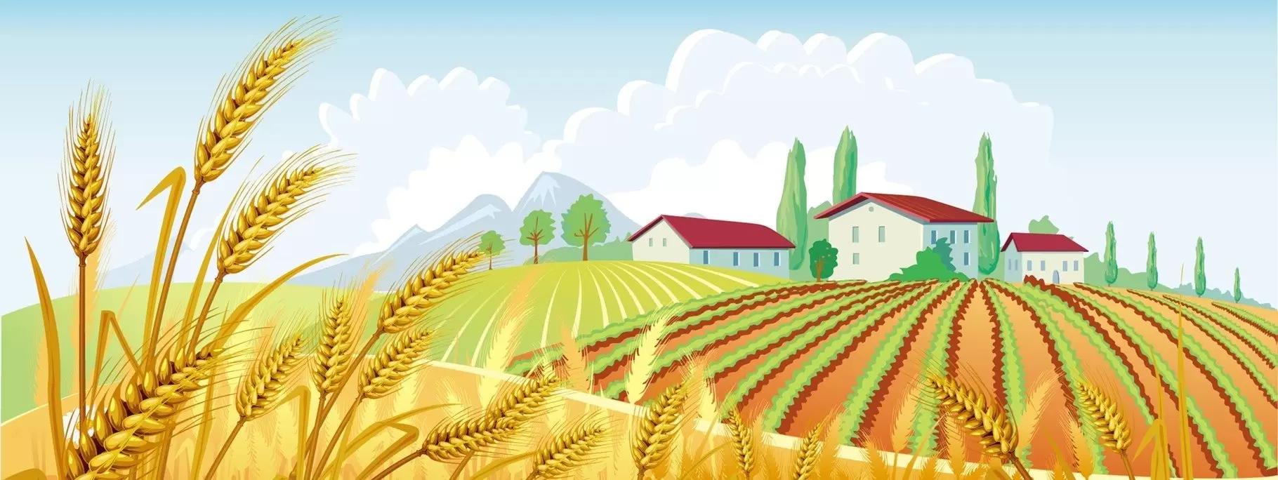 Пшеница теряет позиции? 5 выгодных альтернативных культур для фермеров России