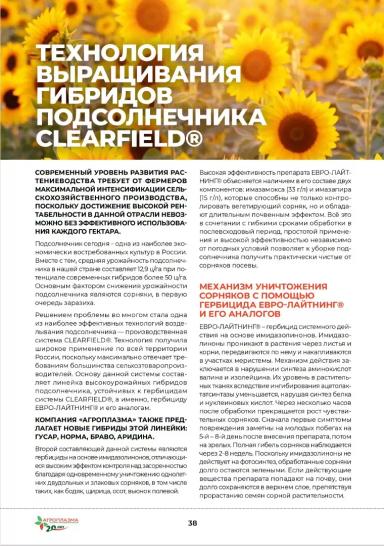 Браво гибрид подсолнечника