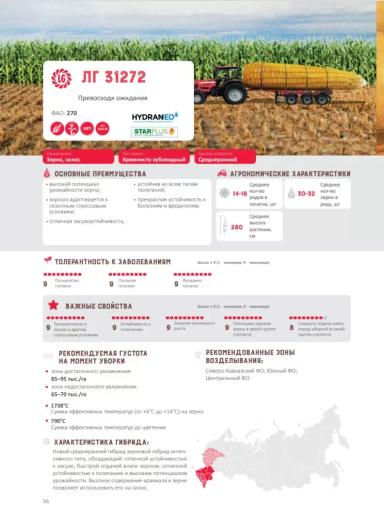 ЛГ 31272 гибрид кукурузы Лимагрейн