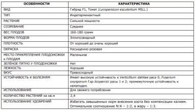 Пинк Пионер F1 (PINK PIONEER)