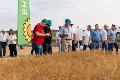 «День поля масличных культур и сахарной свеклы. ВНИИМК 2023»