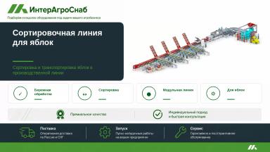 Автоматическая сортировочная линия для яблок и фруктов