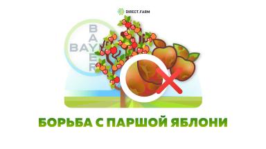 Антракол в защите яблони от парши