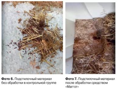 Методы борьбы с вредоносными насекомыми на животноводческих комплексах