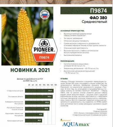 П 9874 (P9874) - гибрид кукурузы Пионер