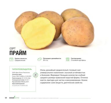 Прайм