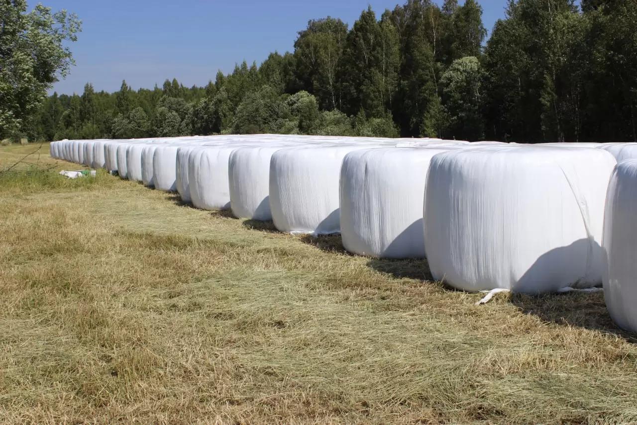 Агрострейч плёнка от Лелаф для обмотки рулонов сенажа