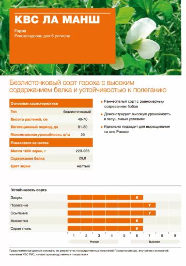 КВС Ла Манш сорт гороха посевного