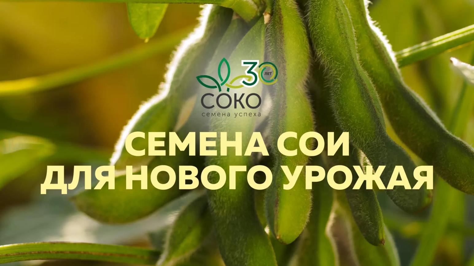 СЕМЕНА СОИ – ДЛЯ НОВОГО УРОЖАЯ