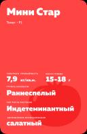 Мини Стар F1 (MINI STAR)