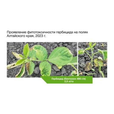 🤔Почему дженерики ведут себя непредсказуемо?
