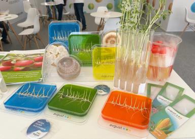 День Донского поля