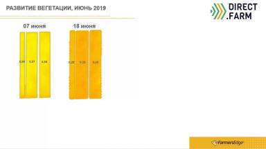 NDVI на эксперименте Дискование, Вспашка, Ноу Тилл (2019)