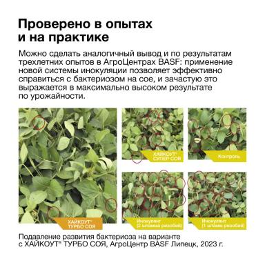 Одна бактерия хорошо, а две – лучше!