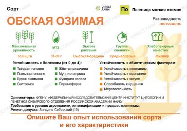 Обская озимая сорт мягкой озимой пшеницы