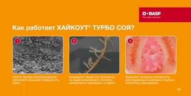 ХАЙКОУТ® ТУРБО СОЯ — турборежим питания и защиты сои