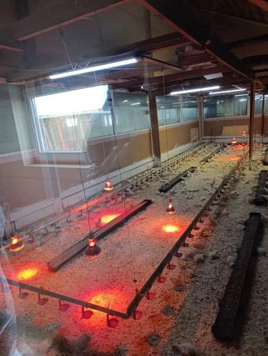 Поддержим словом, поможем делом