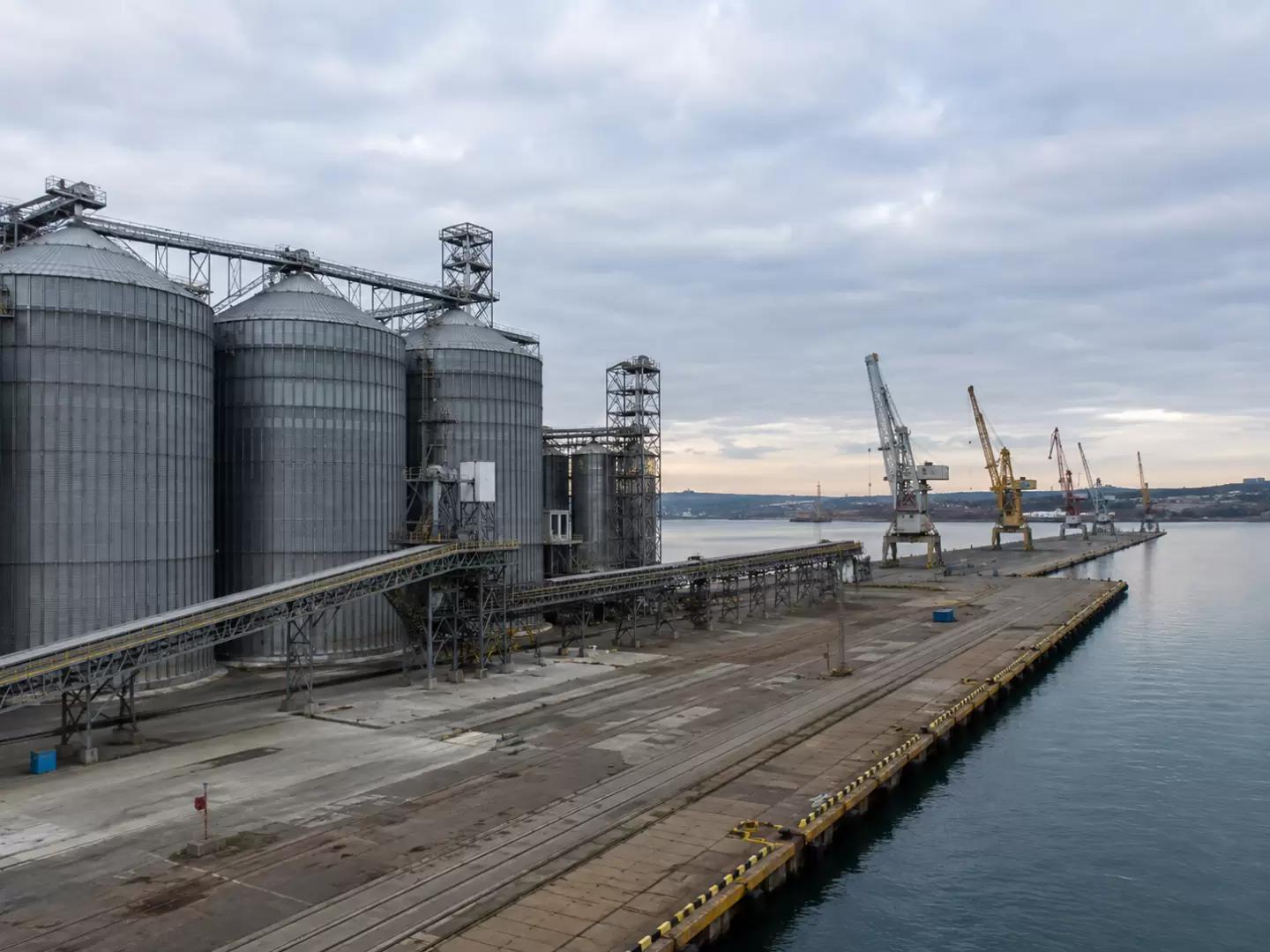 Новороссийск встал: экспорт зерна рухнул на 60-70% — зерно негде хранить
