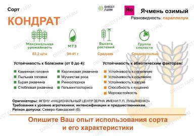 Кондрат сорт озимого ячменя