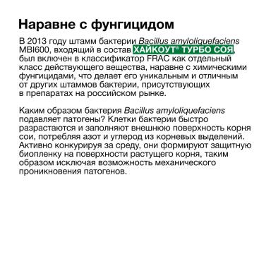 Одна бактерия хорошо, а две – лучше!
