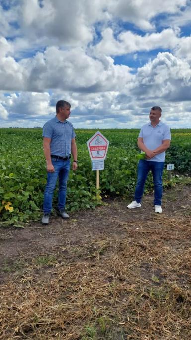 АМУРСКАЯ ОБЛАСТЬ – НОМЕР ОДИН ПО СОЕ