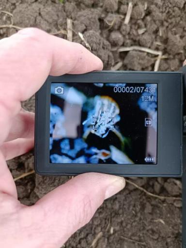 Агросопровождение на всех этапах