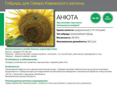 Анюта гибрид подсолнечника