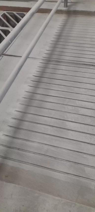 Напольные покрытия для хорошей мобильности крупного рогатого скота