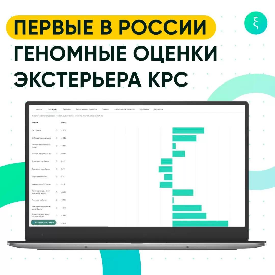 KSITEST. Первые геномные оценки экстерьера КРС для Удмуртской Республики