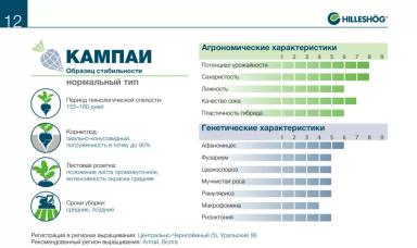 КАМПАИ