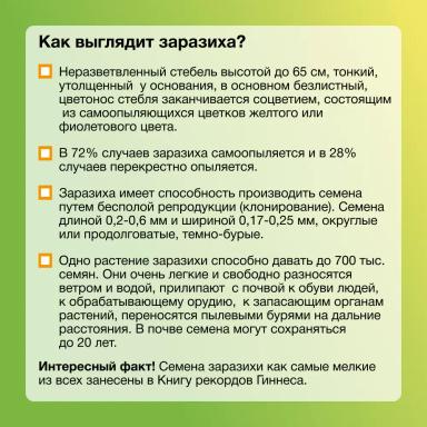 Заразиха. Стоп!