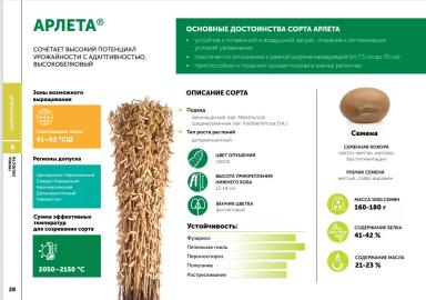 Арлета сорт сои